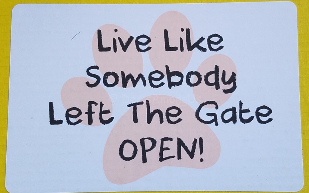Live like someone left the gate open