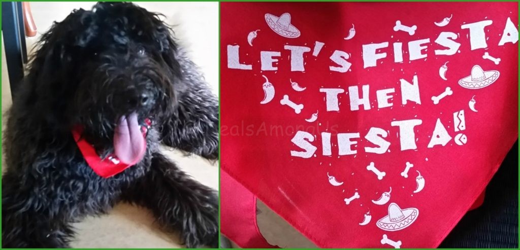 Meadow and the Bandana