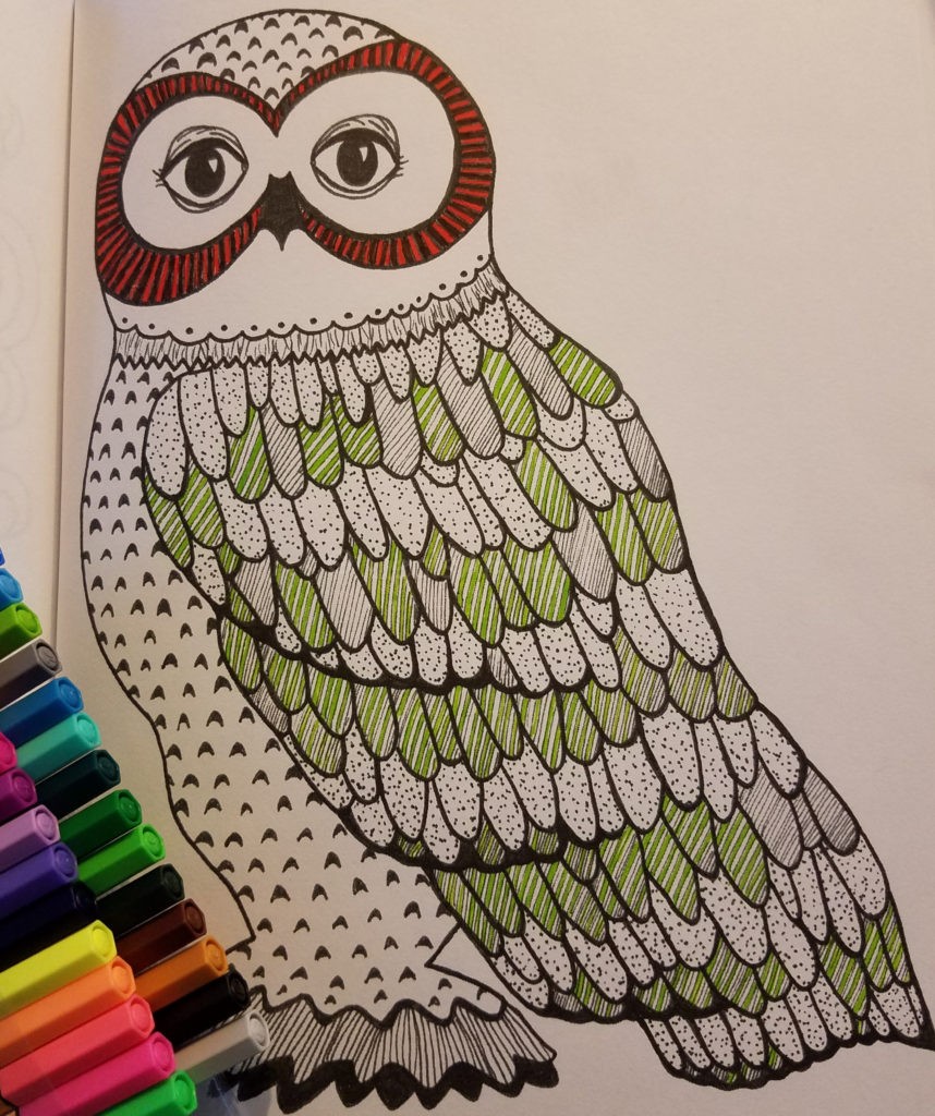 Owl Colored