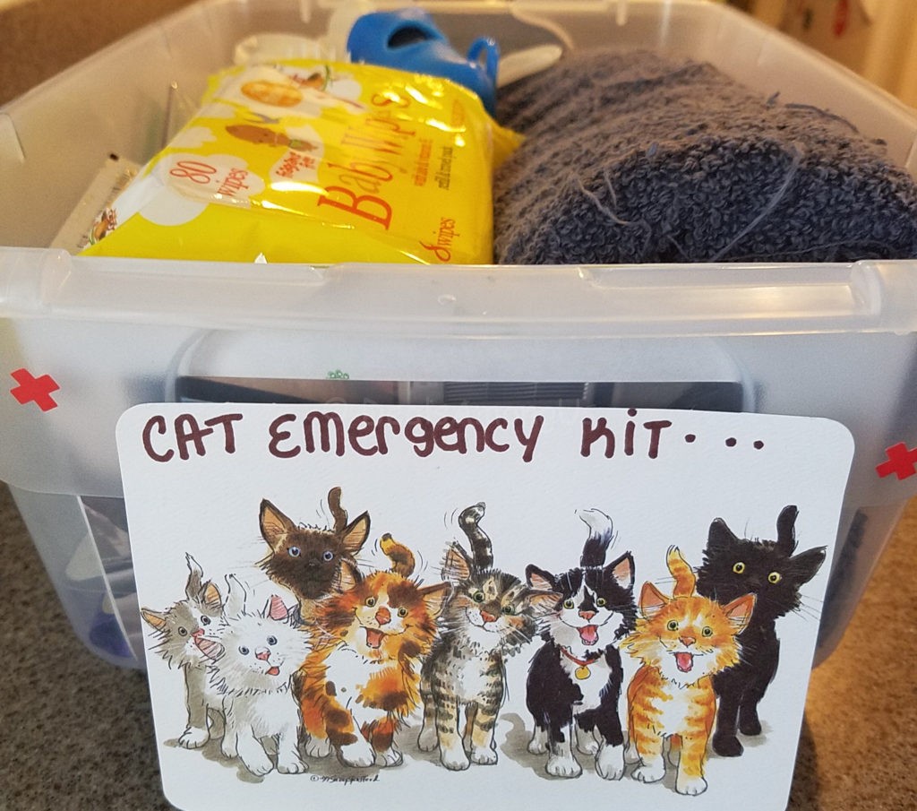 Pet Emergency Kit View