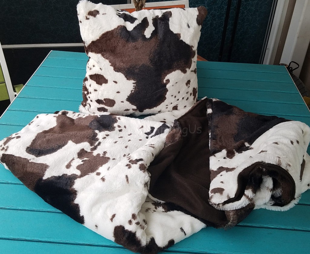 Pillow and Blanket Set