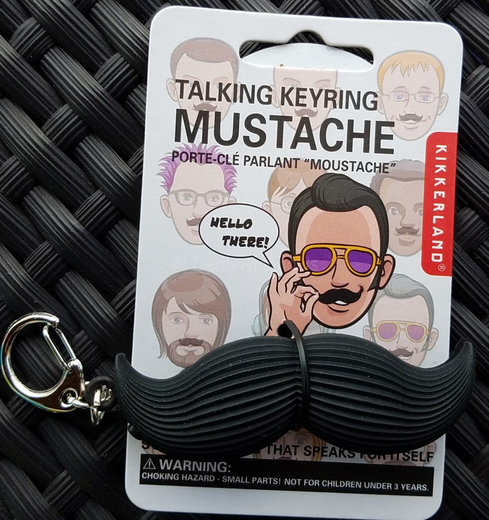 Talking Moustache Key Chain