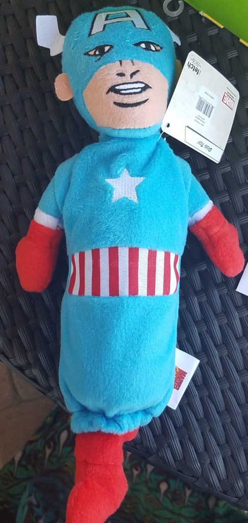 Avengers Water Bottle