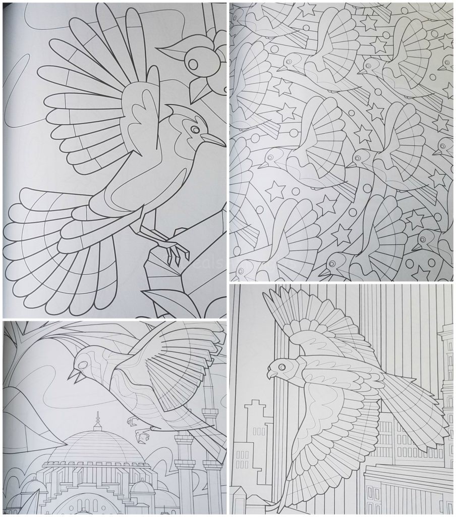 Birds of the World Examples