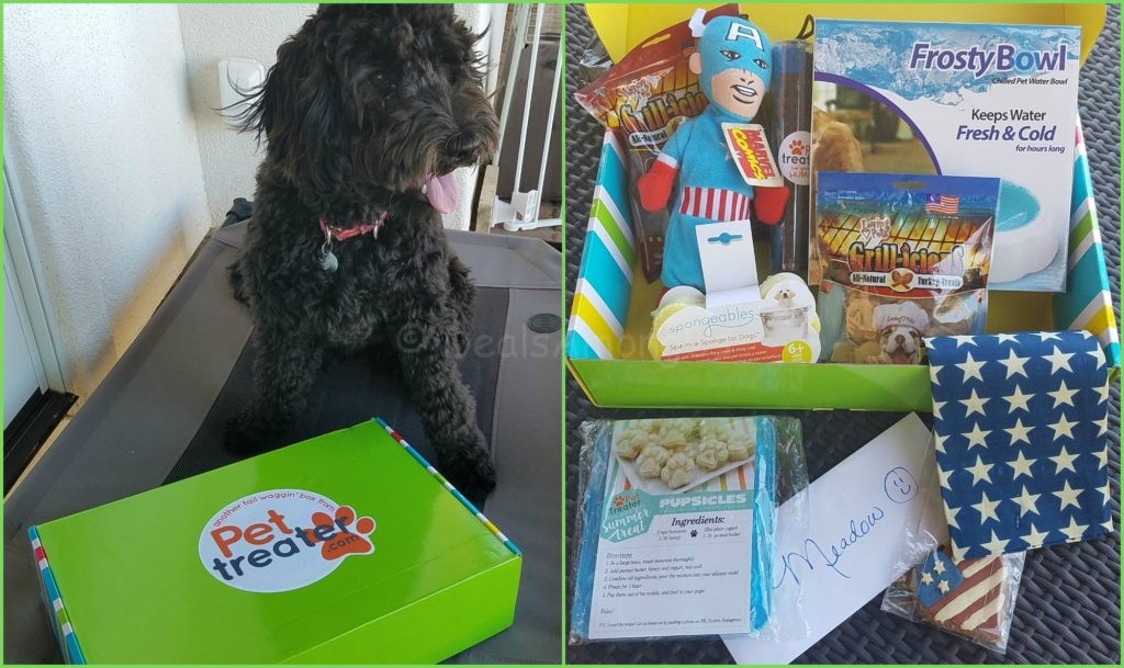 July 2016 Pet Treater - Dog Days of Summer