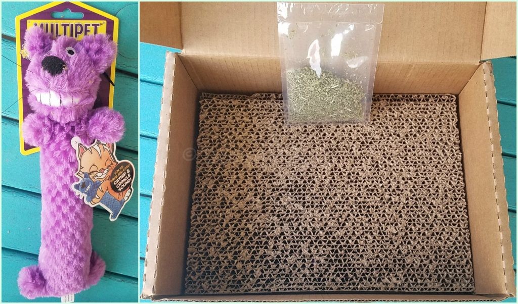 June 2016 Scratcher and Loofa Toy