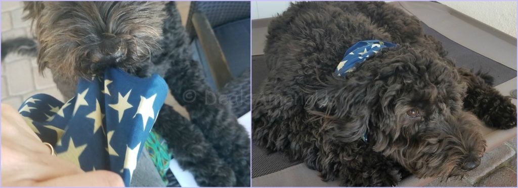 PicMonkey Collage(12)