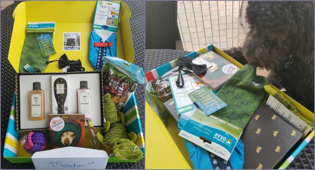 August Pet Treater Box and Meadow Invesigating