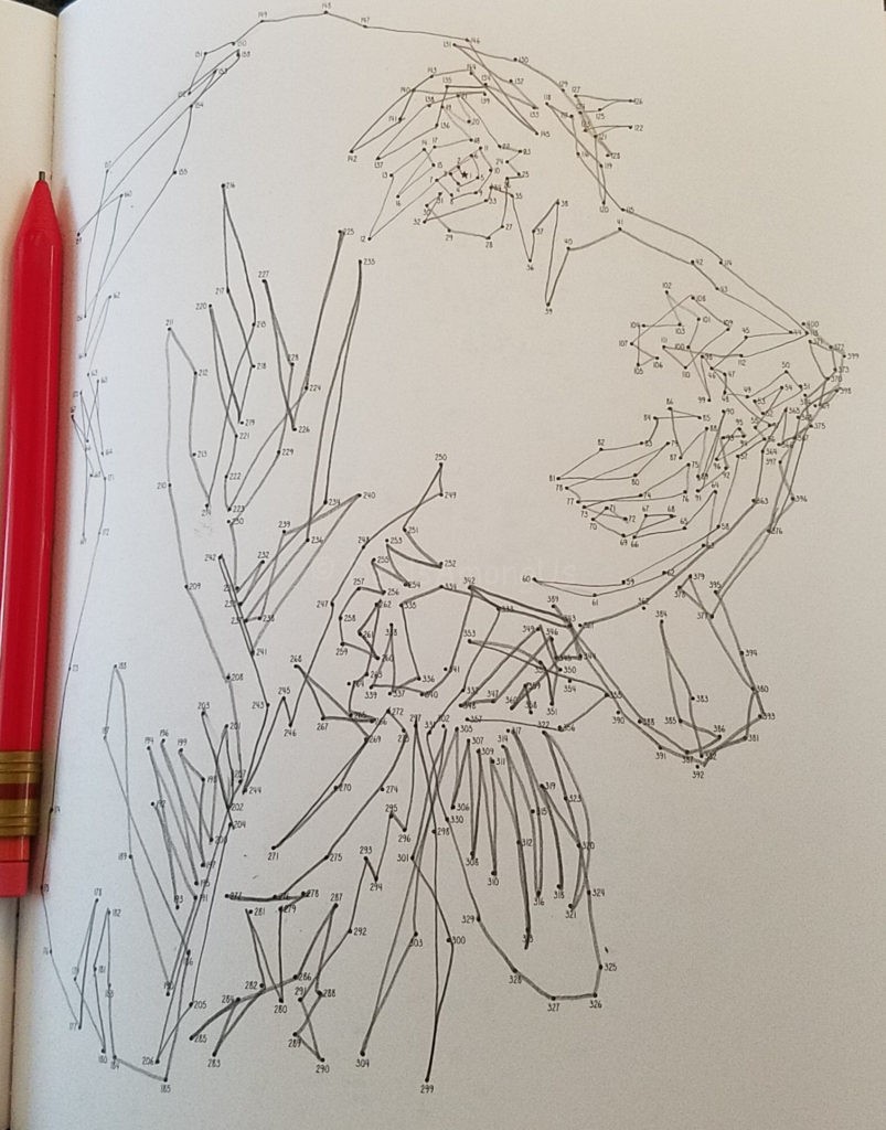 Completed Dot to Dot