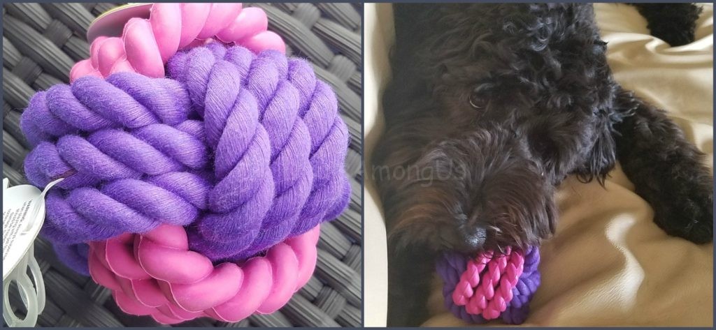 Rope and Rubber Ball