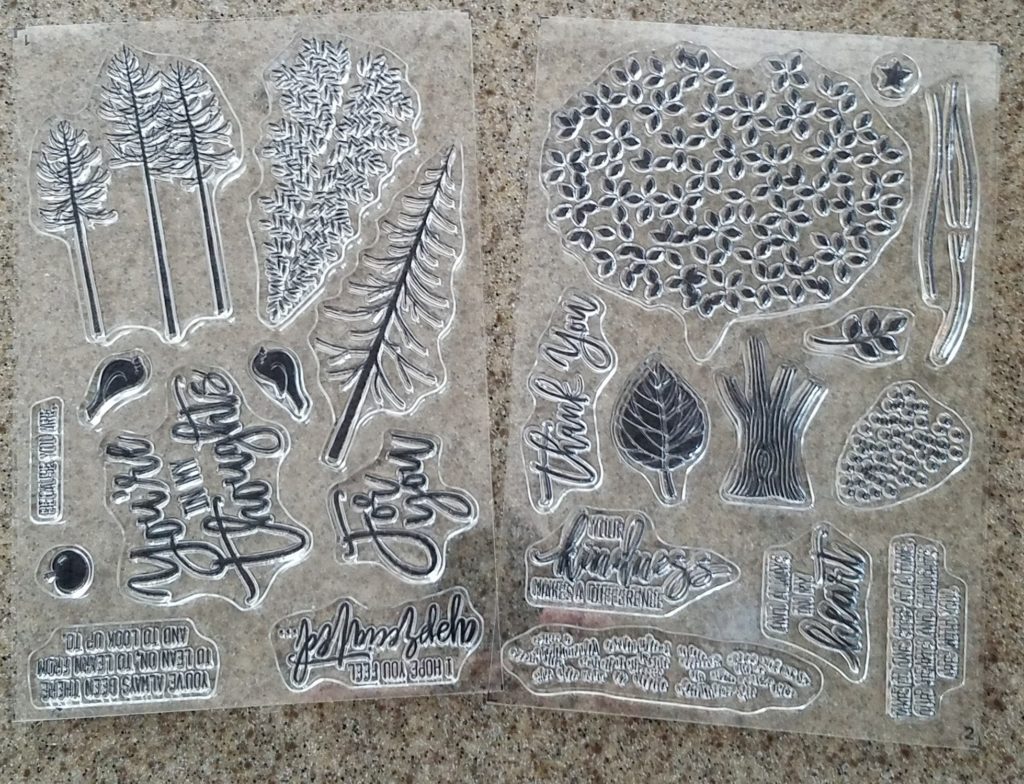 Thoughtful Branches Stamp Set