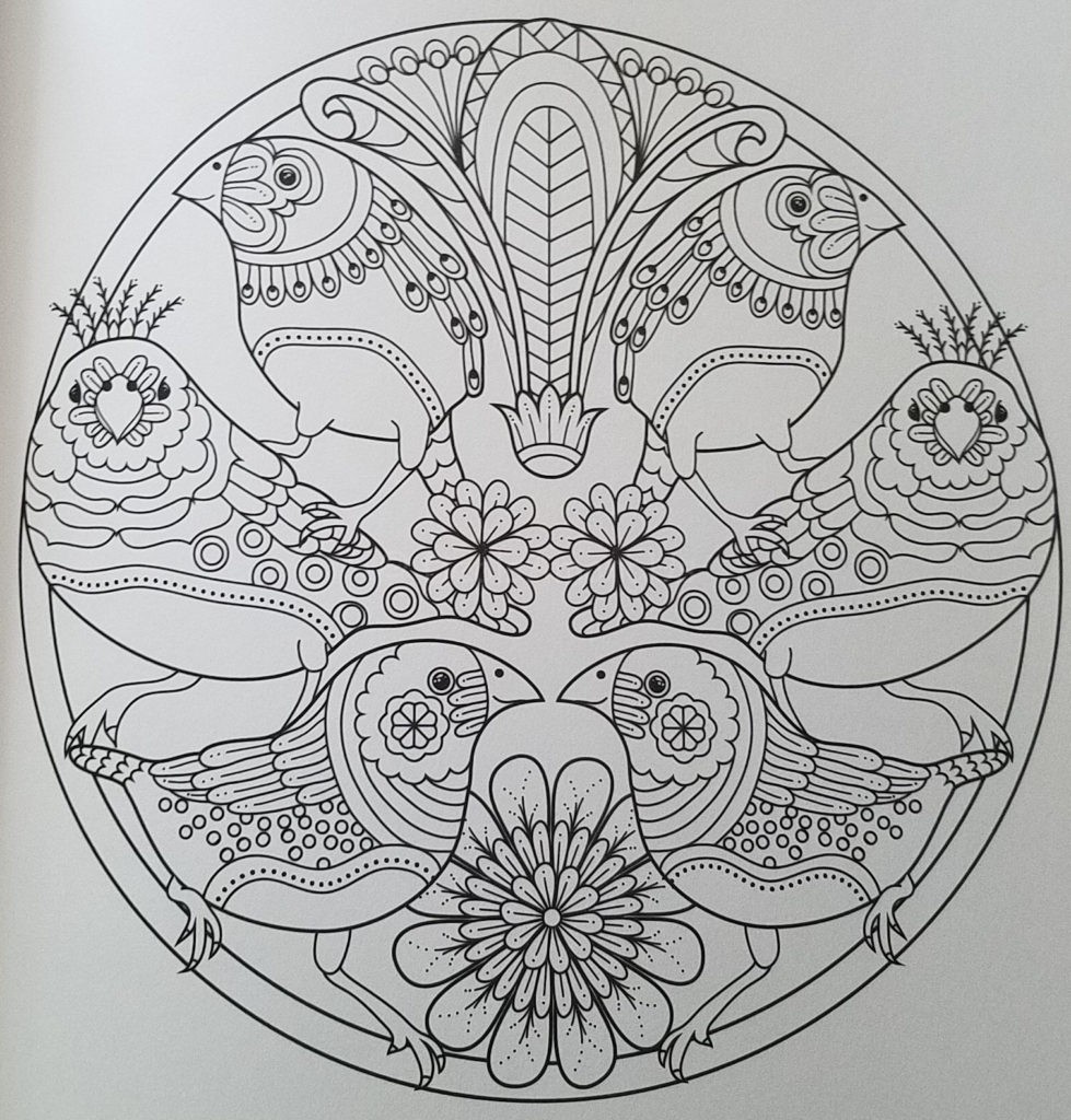 bird-mandalas-2