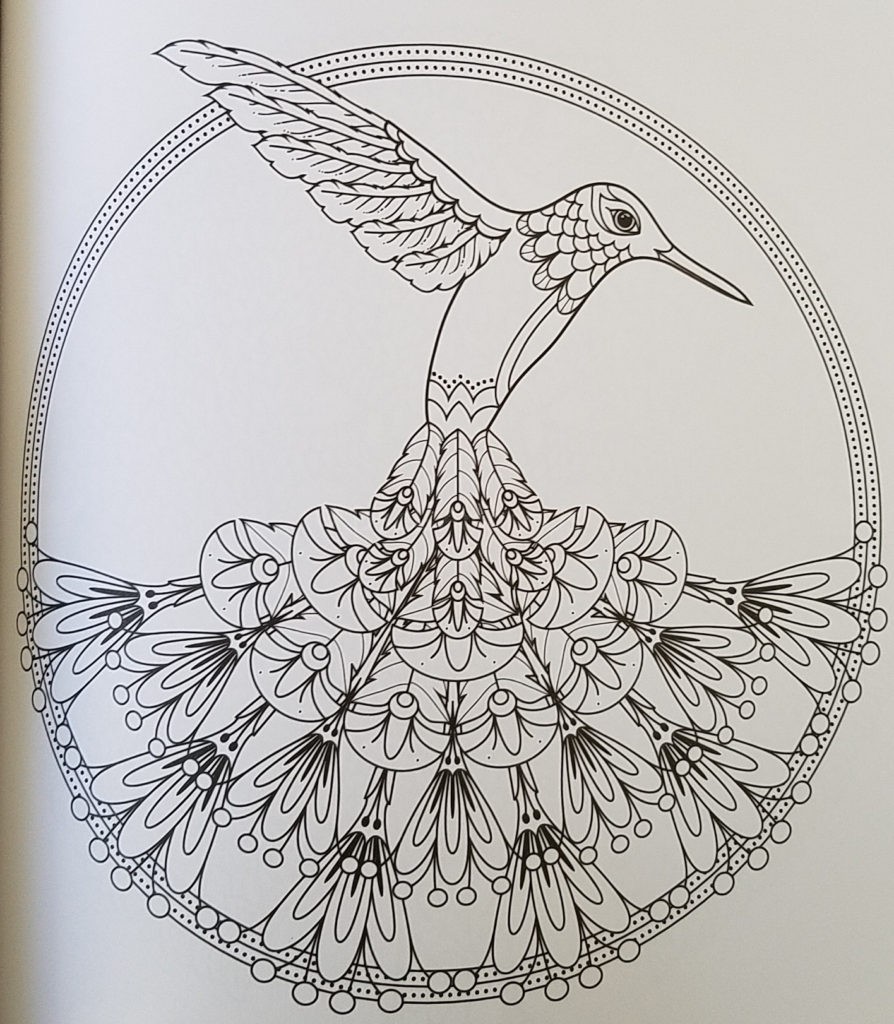 bird-mandalas-4