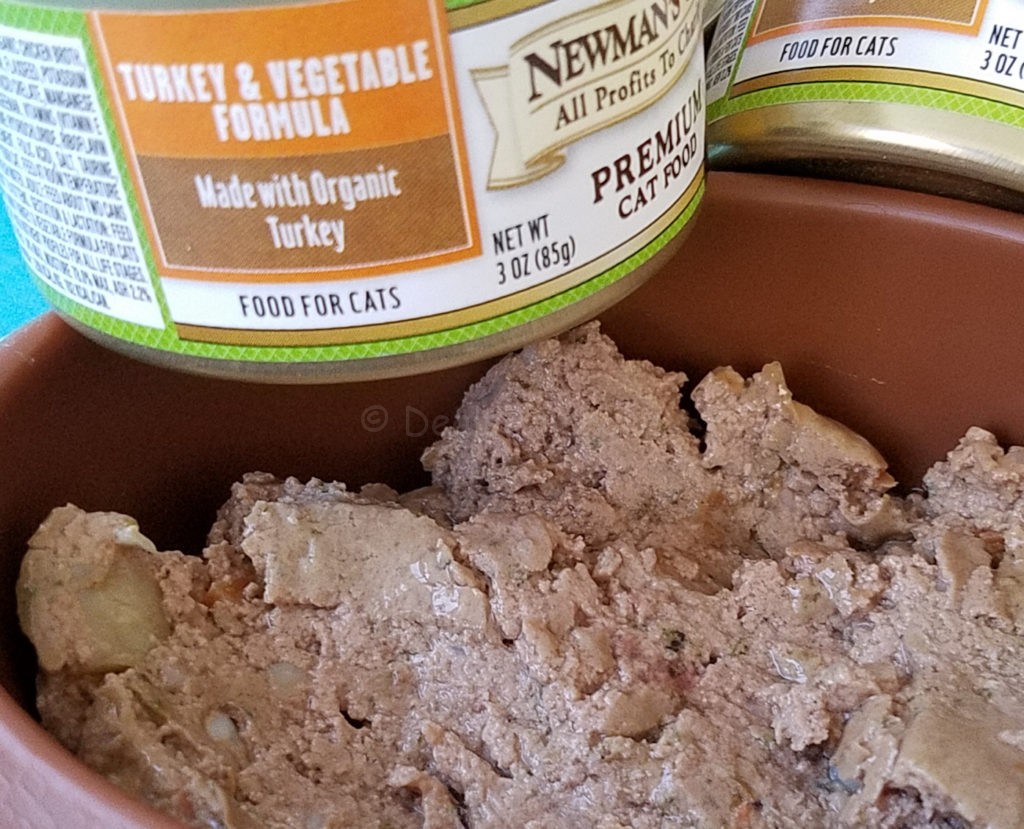 turkey-and-vegitable