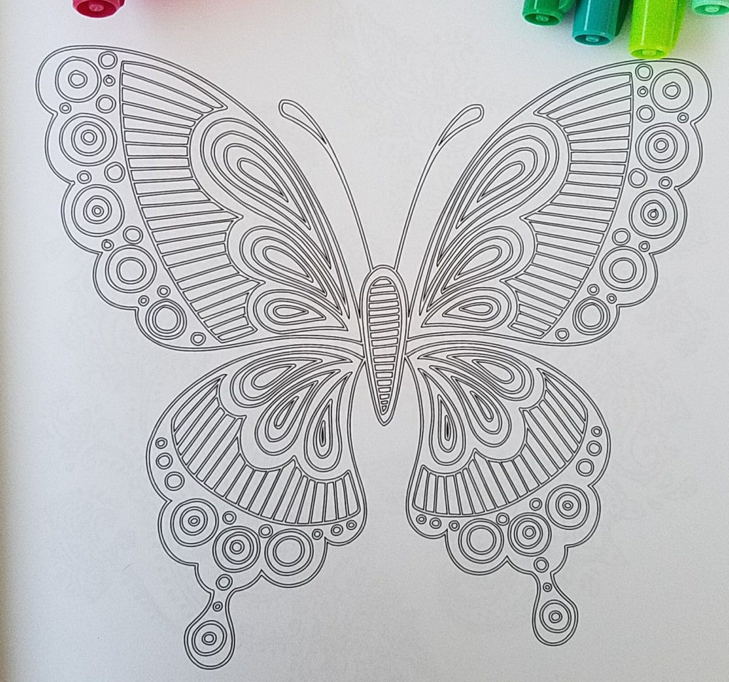 butterfly