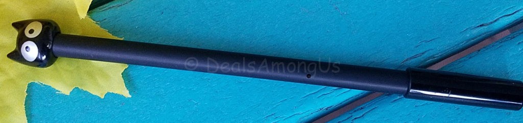 cat-lady-black-cat-pen