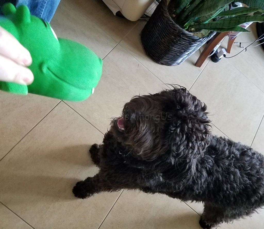 green-toy-and-meadow