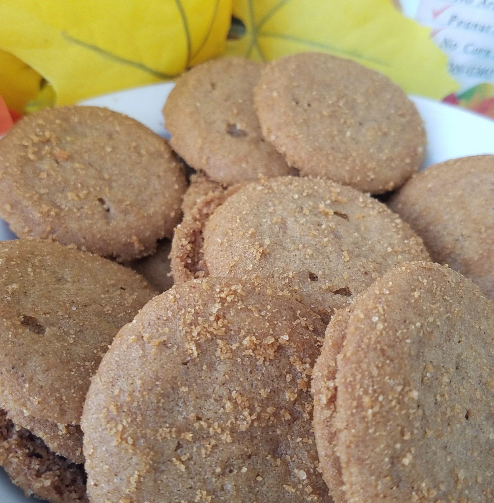 pumkin-spice-cookies-up-close