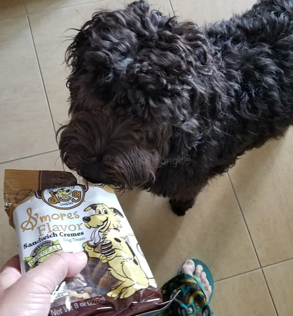 smores-flavored-and-meadow