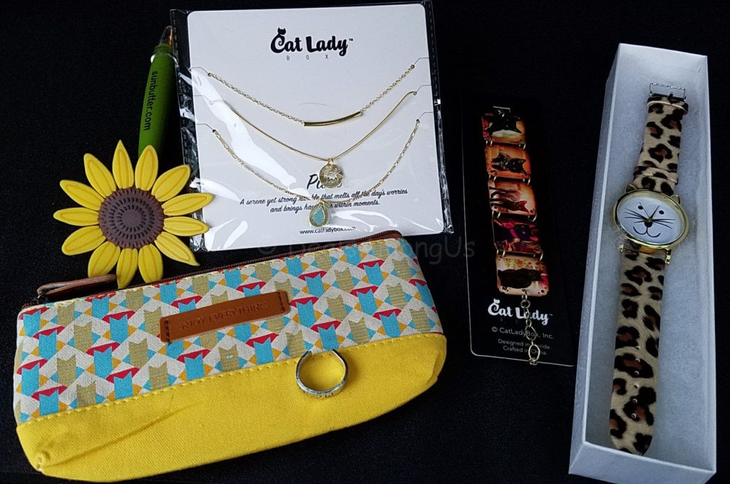 all-cat-and-a-bag-of-chips