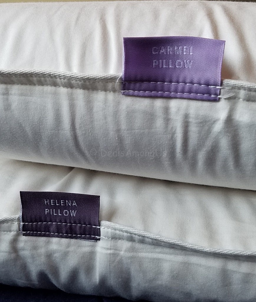 carmel-and-helena-pillow