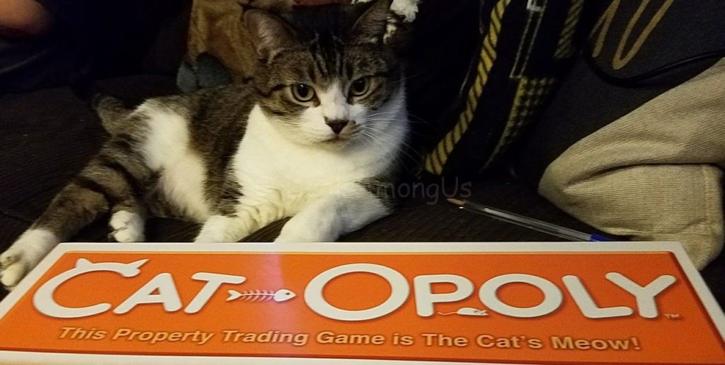 cat-opoly-and-maggee