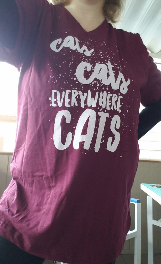 cats-cat-everywhere-cats