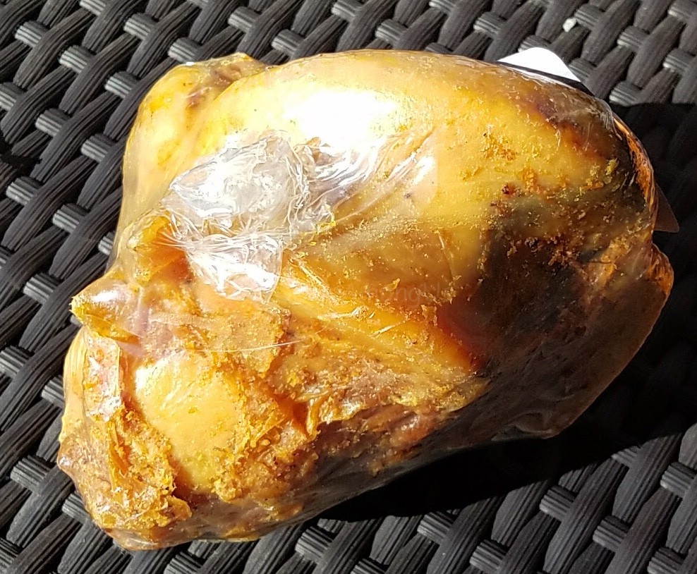 heel-joint-pet-treater-october-2016