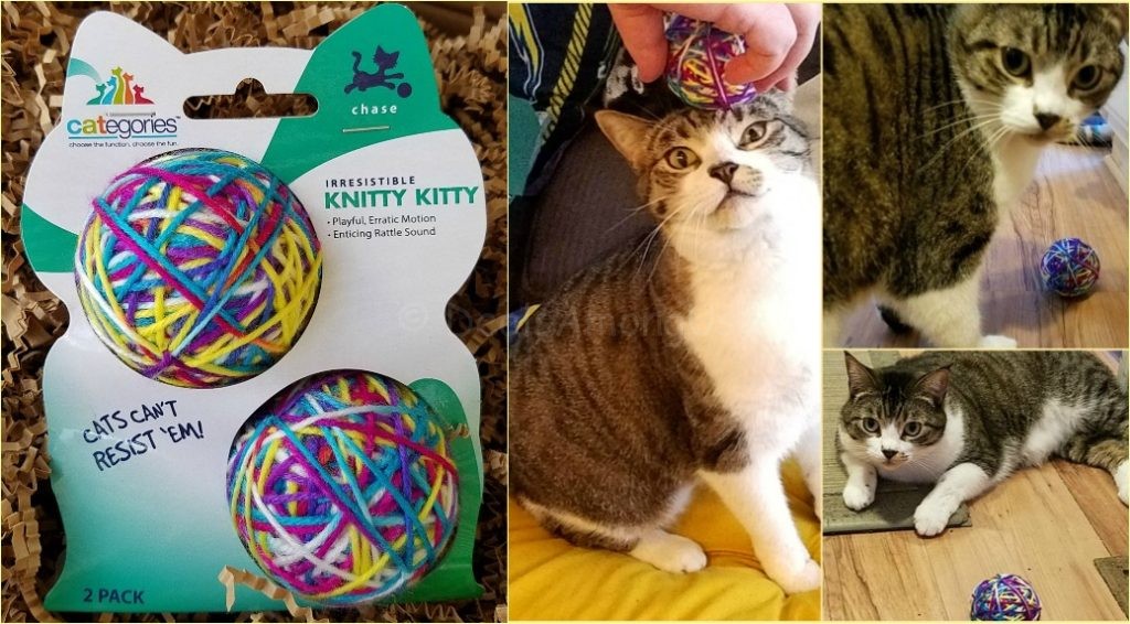 cat-yarn-ball-maggee-v-ball