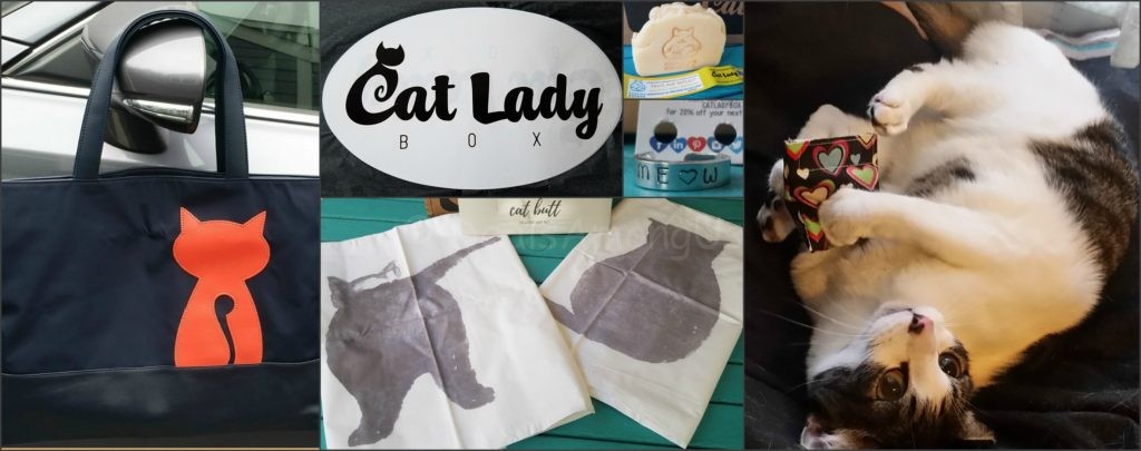 catladybox-2016-wrapup