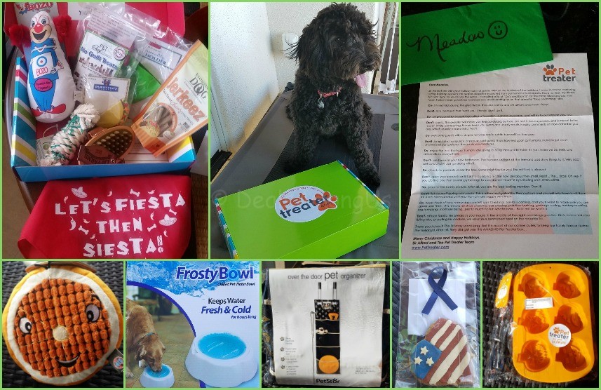 pet-treater-wrap-up-2016