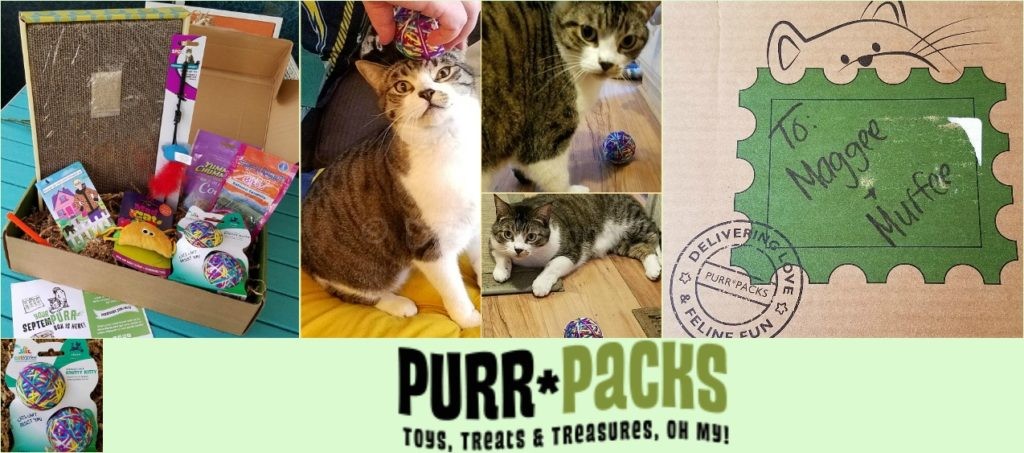 purrpacks-wrapup-2016